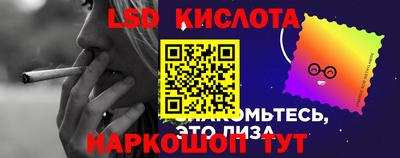 ПСИЛОЦИБИНОВЫЕ ГРИБЫ Пугачёв