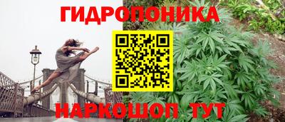 ALPHA PVP Пушкино