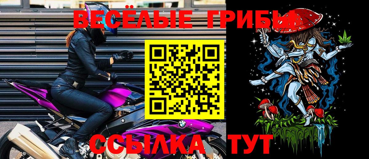 Галлюциногенные грибы мицелий Серпухов