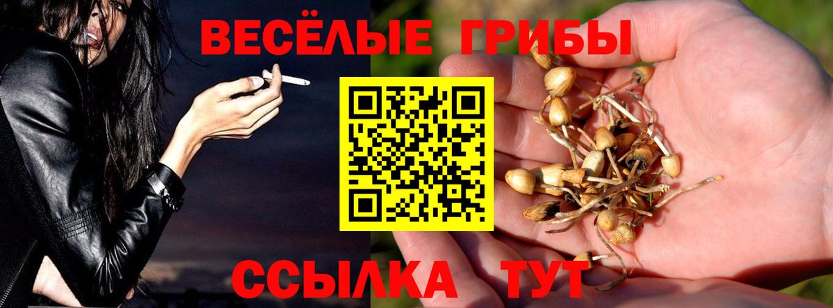 Галлюциногенные грибы Cubensis  Вход с VPN  Галлюциногенные грибы прущие грибы  Серпухов 